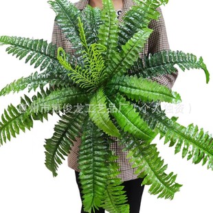 �S�����l21���^����ֲ�ﲨ˹�~�Gֲ����ާ�����Ļ�c�b���