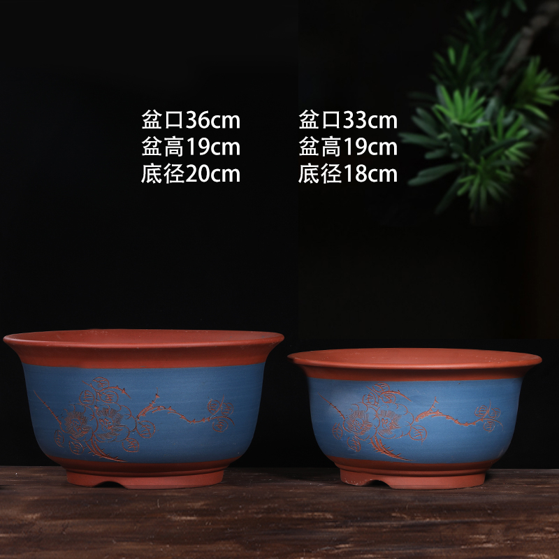Transparent Blossoms-36+33