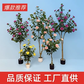 仿真绿植;仿真盆栽;仿真阳具