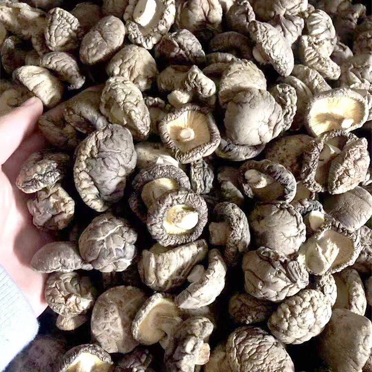 陝西秦嶺 香菇 花菇 幹貨 冬菇 肉厚食用菌批發 壹件代發 500g