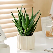 �����J�C�k���҃ȿ͏d��X������B�Gֲ�������ԃ����՚�