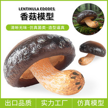 �羳�����㹽Ģ��ģ���漧���p�U�����K����Ǿ���S�����U���[��
