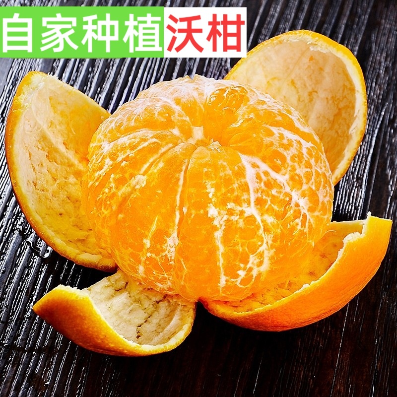 [Homegrown]Fujian Zhangzhou Orange Season fruit pregnant woman fruit Full container wholesale On behalf of