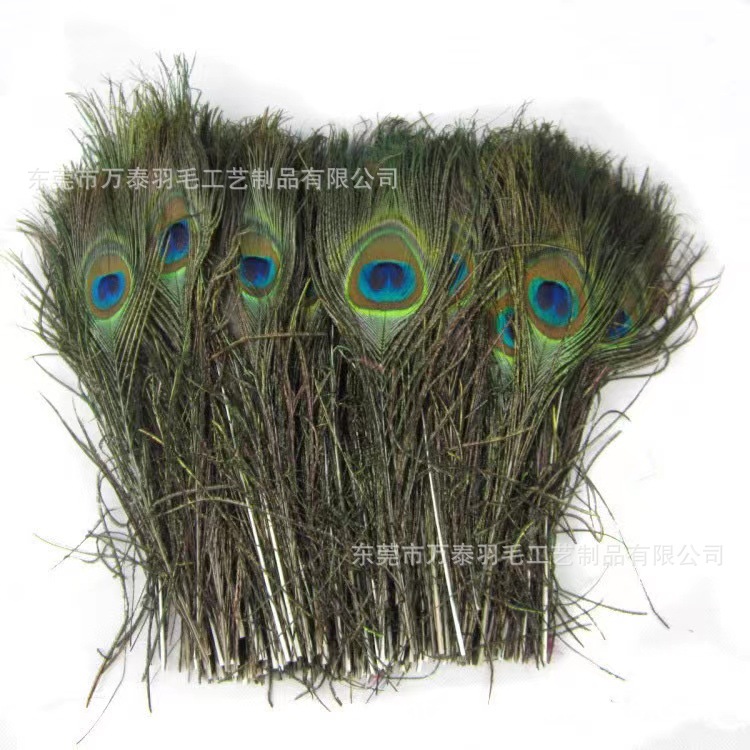 Spot 25-110cm pelo de pavo real plumas de pavo real al por mayor accesorios de joyería arreglo floral plumas decoración de plumas naturales