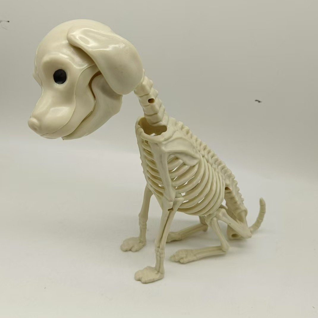Esqueleto animal transfronterizo Pug