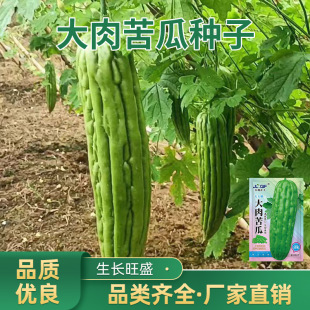 �����ϷN�Ӻ����۴��;G������̨��ͥ���Կ����Ϲ��߲˷N��