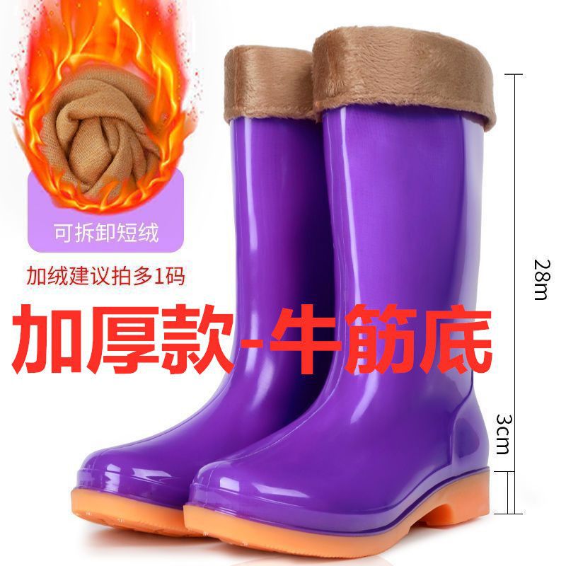 보라색 중간 두께 모델(벨벳 모델 포함)