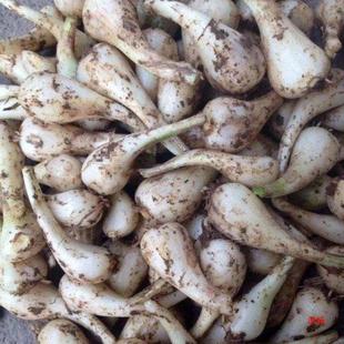 �w�^���r���~�u���^�����rˊ�r�ҽ����r�߲˕r���߲����uͨ���l