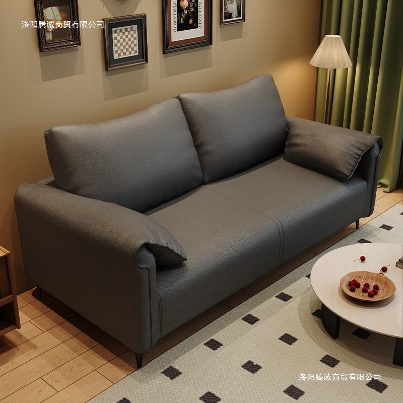 Small Apartment Sofa for Home Living Room, Apartment Sofa Bed, Light Luxury Cloud Sofa, Two-Seater and Three-Seater Office Sofa