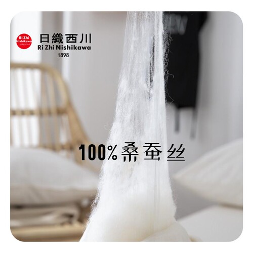 Japanese Nishikawa silk quilt 100% medium filament mulberry silk winter quilt spring and autumn quilt core high-end bed household raw cotton