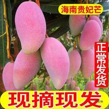 �Fժ�F�l���������F��â�t����â��Сâ����Ŵ9�a��ֱ�l��һ����