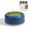 New cat grass potted laziness -free waterless hydroponic planting box cat grass pot wheat particle cultivation plate cup set wholesale