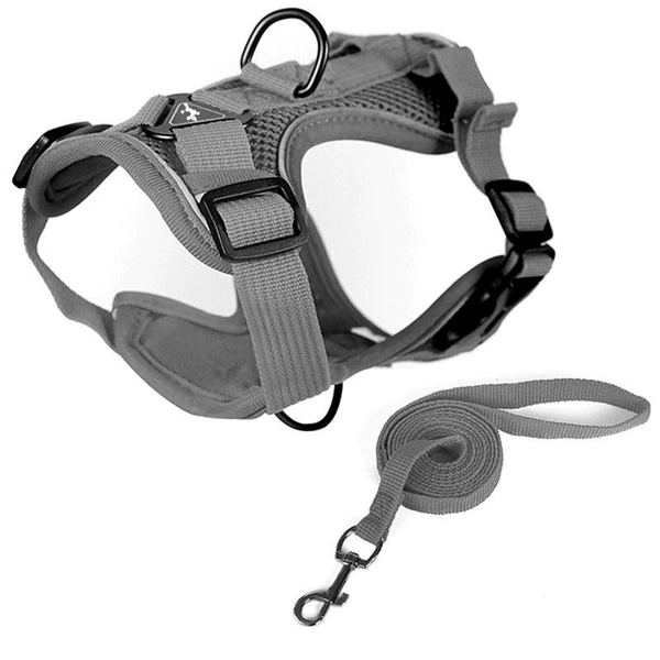 Double layer gray harness