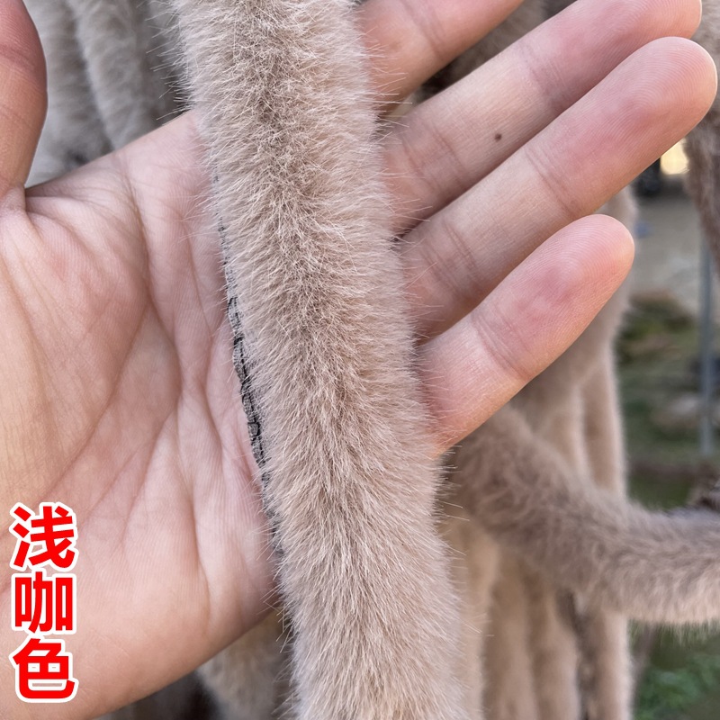 IMG_5415_副本.jpg