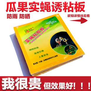 Fruit Fly Viscose Board Fruit Fly Sticky Board Needle Bee Orchard Sticky Board Insect-proof Sticky Fly Paper Citrus Mosquito Control