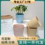跨境办公室吸水定制小花盆