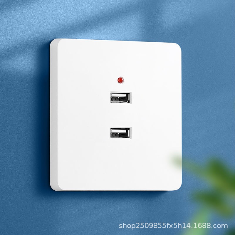 86 type USB socket panel light installation two -hole four -hole USB charging socket 220V low voltage 36V to 5V