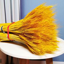 ��ؔ��Ȼ�L���S������ɻ������[�������͏d�b��_�I���w�¾ӶYƷ