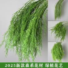 ɭϵ���滨��횲���ꐻ�c��Y���؈������þGɫϵ�J���ݷ���Gֲ