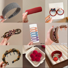 һԪ�[��ë�q�l��Ƥ��2026�x���[����؛�W�t�^l�Ů�l��С�A��