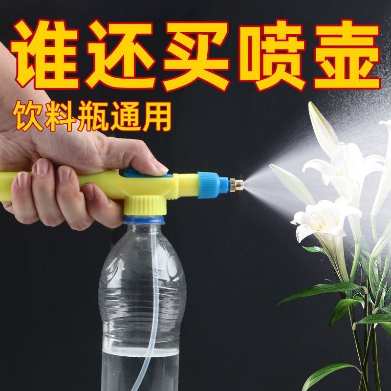 3b63a17f-d43b-4a8b-89d9-0d1be340b27f.jpe