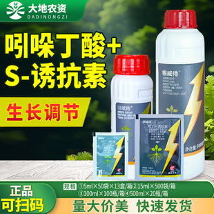 ���_������1%���ᶡ��&middot;�T����ˮ����������ֲ�����L�{����������