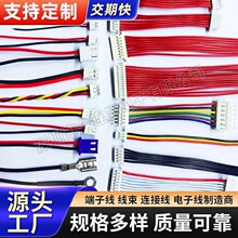 纯铜环保电子线束单头双头端子线红白排线蓝白排端子连接线加工厂