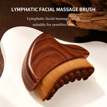 �羳�ܰ�݆���沿ˢ��Ħ���i�o��ˢ����Lymphatic Contour Face