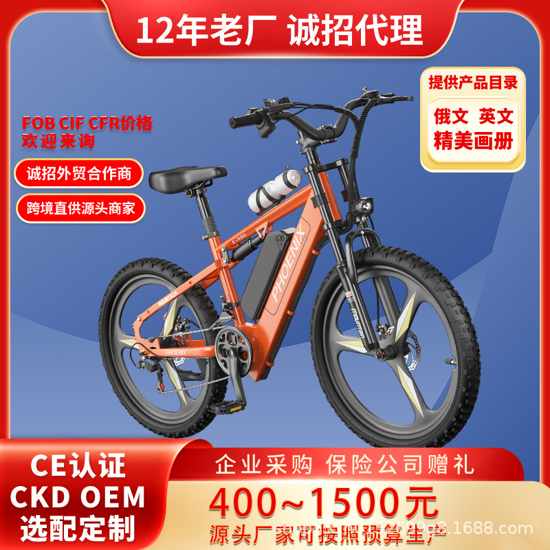 Phoenix electric asistido bicicleta de montaña nuevo estándar nacional de viaje de larga distancia corta en lugar de vehículo eléctrico ligero asistido