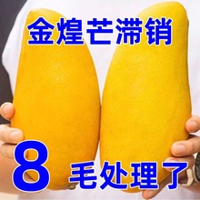 海南金煌芒10斤芒果一级大果新鲜水果现摘青甜心黄皮水仙芒整箱包