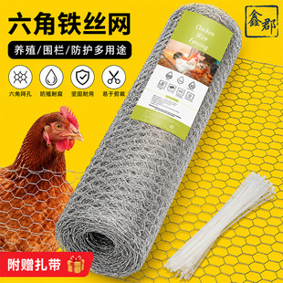 ��\�羳���ǾW�F�z�W�u�\���ھW��߅���Bֳ�W�Q�����ǾW�F�z�W