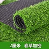 2 cm spring grass thickened