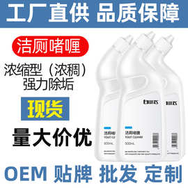 洁厕液马桶清洁剂洁厕宝洁厕灵厕所除垢Toilet cleaner卫生间清洁