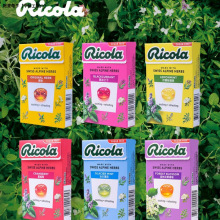 ���ژ�ricola�����Ǳ�������ԭζ����ζ���ɻ�����ڼӁ���������