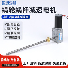 ΢ֱp늙C5840-31ZYT8LSzUS{12V24СR_