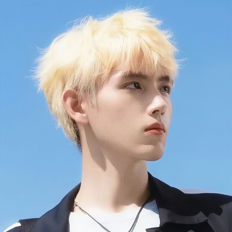 Cheng Ming Wig Men's Short Hair Korean Style Broken Cover Men's Wig Handsome Natural White Gold Summer Breathable Full Head Cover Cheng Ming Wig Men's Short Hair Korean Style Broken Cover Men's Wig Handsome Natural White Gold Summer Breathable Full Head Cover