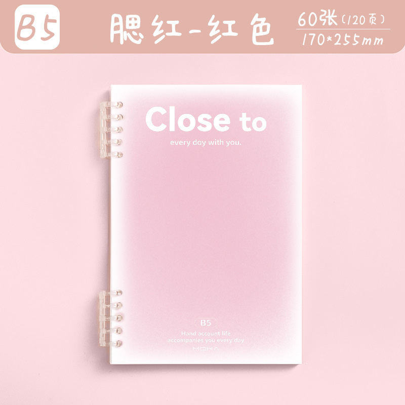 2700 B5 블러쉬 핑크