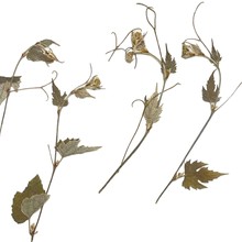 ������Ѻ�����l�������ɻ����D��ˇ������ƷDIY�r�R���z�滨