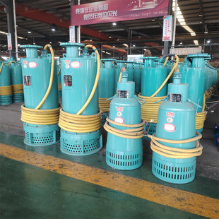 ��Ч������ɳ��BQS40-170/2-45KWú�V����늉���ˮ�÷�����Ĥ��