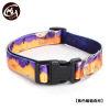 Halloween pet supplies spot wholesale pumpkin bat forest Hallow color Halloween dog collar