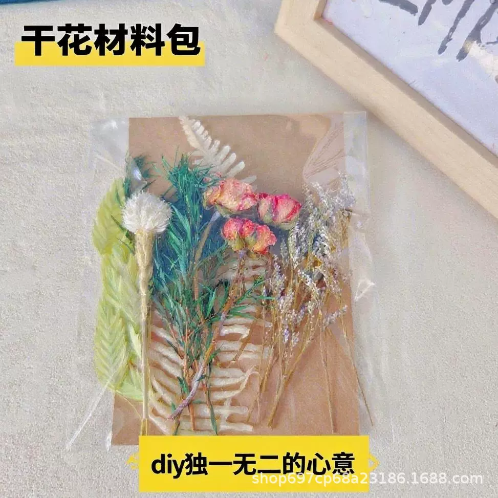 干花材料包真花压花diy永生花相框明信片团扇跨境专供工厂直发