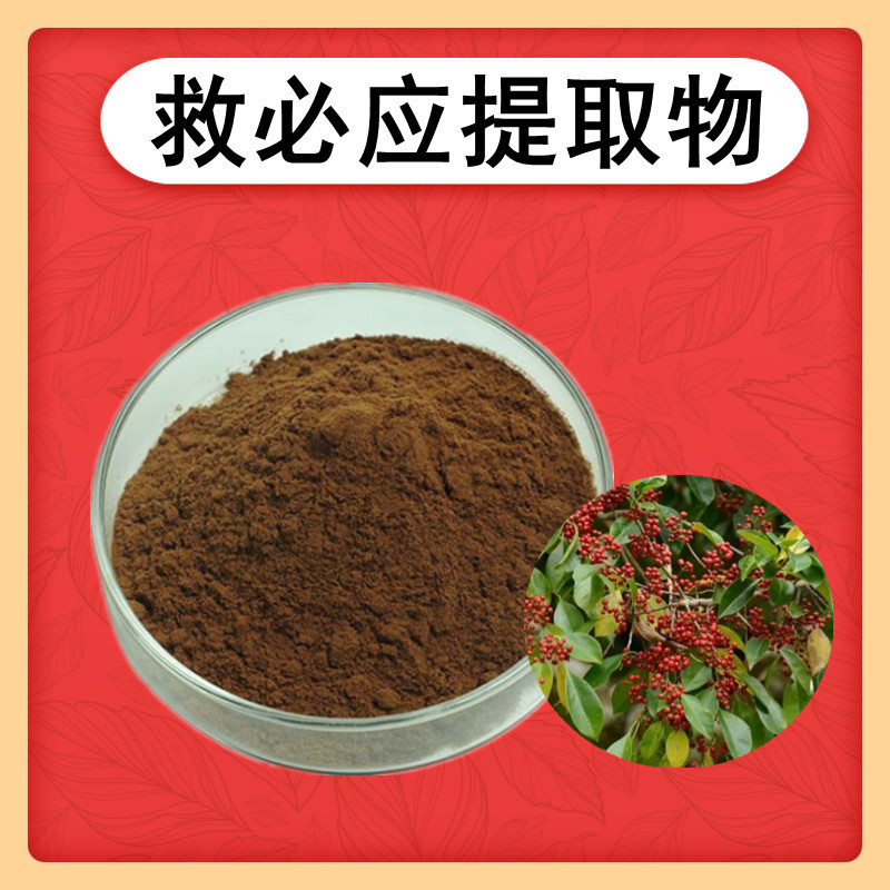 救必应提取物水溶性粉铁冬青提取500克/袋食品级