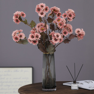 �����֦3����ɫ�ջ� ̫ꖻ��͹�ins�zӰ����������Ұ�շ���ٻ�