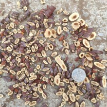 �`֥��Ƭ  �`֥Ƭ  ���`֥��Ƭ  �a���N�� ���M���