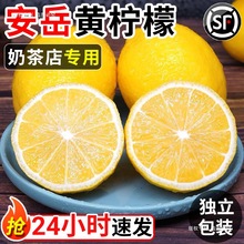 四川安岳黄柠檬新鲜应当季斤水果整箱皮薄香水鲜酸大果包邮9