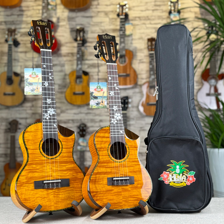 Ukulele with a score, guitar, 21 inch, 23 inch, 26 inch 4