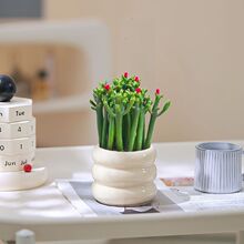 �в�ֲ���Ǯľ��׮�����������칫����������ֲ��������