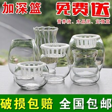 ˮ��ֲ�ﲣ�����B�~�׾G�}�����k������Ӻ��̖�~��͸������ƿ