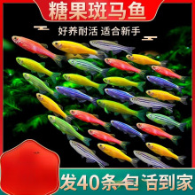 ���R�~�Ꭷ��ˮ�^�p�~С���~���B�����~��ȸ�~����~