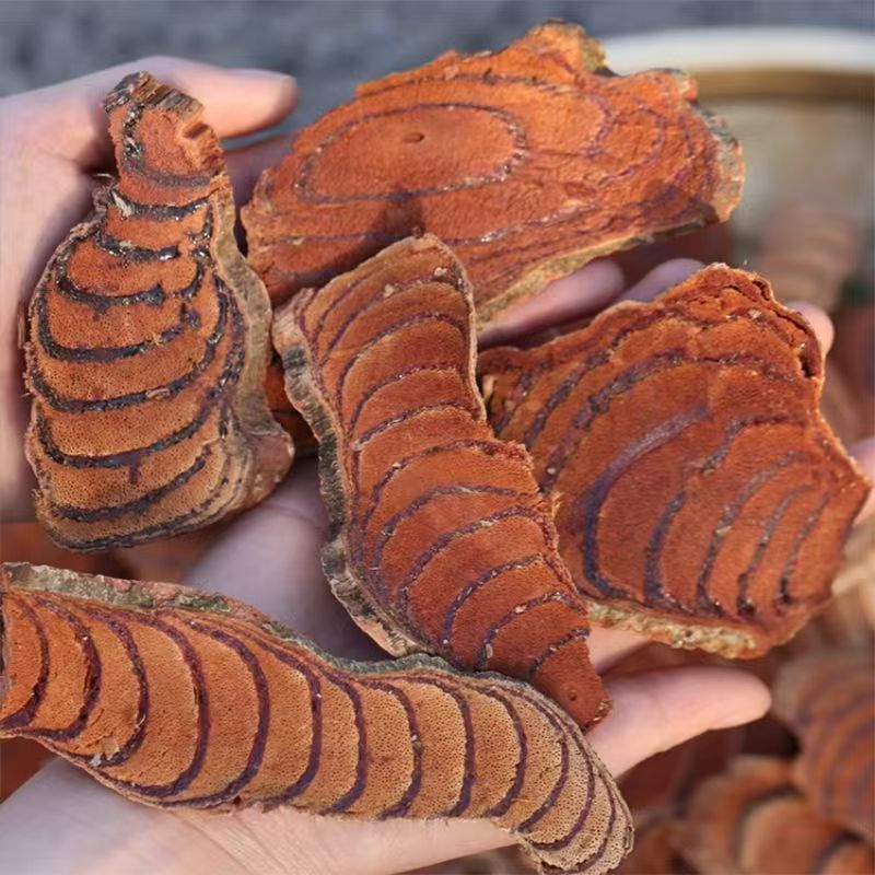 Ji Xue Teng Dried Spatholobus Suberectus Vine Slices Chinese Herb for Decoction Soup and Wine Soaking quality and texture